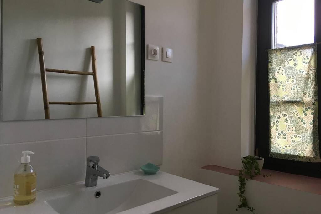 Appartement De 75 M2 Dans Maison Familiale Saint-Antonin-Noble-Val Екстериор снимка